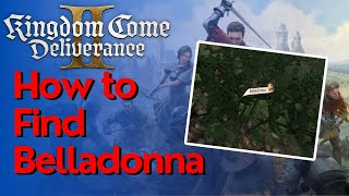 How to Find \u0026 Get Belladonna in Kingdom Come Deliverance 2