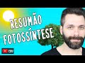 RESUMO sobre FOTOSSÍNTESE | Biologia com Samuel Cunha