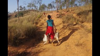 MADAGASKAR -  Podróż do  Bealanana - cz.26