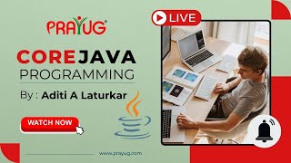Exploring Primitive Data Types, Wrapper Classes, and Type-Casting in Programming! | Prayug