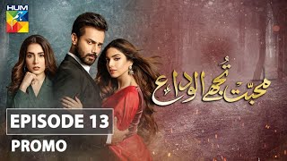 Mohabbat Tujhe Alvida Episode 13 Promo HUM TV Drama