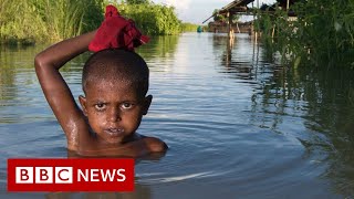 How climate change is making inequality worse - BBC News