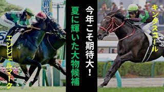 今年こそクラシックを盛り上げる！？ DMMバヌーシーの2歳馬が夏競馬で2勝！ クラブ初の出来事に、今後の期待が高まる。【一口馬主】 【競馬】