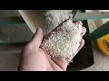 رائس شیلر میں منجی سے لیکر چاول نکلنے تک مکمل طریقہ ، rice mill business rice