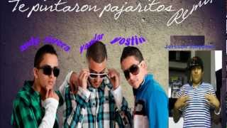 Jersson Sleydher -  Te Pintaron Pajaritos (Remix) ft. Yandar y Yostin, Andy Rive