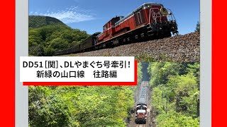 DD51［関］、DLやまぐち号牽引！新緑の山口線往路編