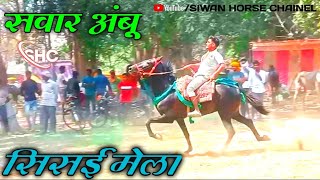 सवार अंबू की तैयारी सिसई मेला में/sisai mela horse fair 2024/ me race fight @siwanhorsechainel