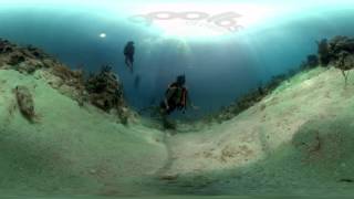 Scuba 360 Degree Virtual Reality Video Production - Florida Keys