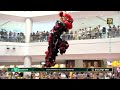 [Lion Dance] 雪蘭莪玄龍體育會 @ipohparade