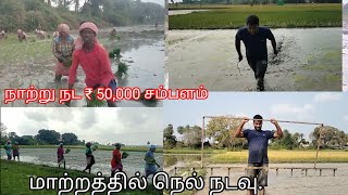 @deejayfarming8335 மாற்றத்தில் நெல் நடவு.