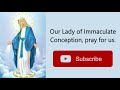 powerful prayer to our lady of immaculate conception never known to fail... power of prayer