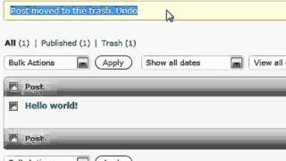 Wordpress Tutorial For Beginners Part 4 - Editing Posts