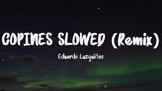 Eduardo Luzquiños - Copines Slowed (Lyrics) || trop tard, trop tard j'suis trop loin pour toi