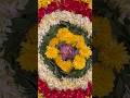 #malayali #onam #season #kerala  #flowers #trending #shorts #jailer #india #love #harmony #malayalam