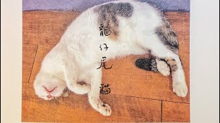 蔣勳老師「龍仔尾-貓🐈」畫展_臺南文化中心