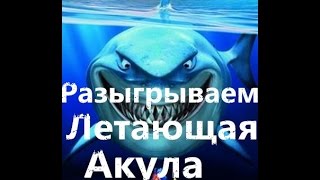 TinyDeal:Разыгрываем Летающая акула - пловец воздуха