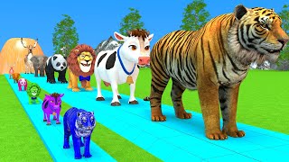 Paint \u0026 Animals Cow,Lion,Bear,Deer,Tiger,Elephant Fountain Crossing Transformation Animal Cartoon