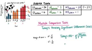 Multiple Comparison Tests