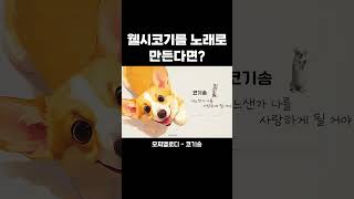 웰시코기를 노래로 만든다면? #shorts #corgi #song