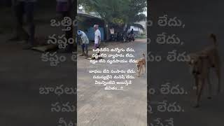 ఎంత కష్టం వచ్చిన జయించాలి #telugu #quotes #motivation #youtubeshorts