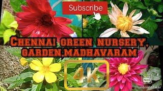 Today  I visit  #Chennai green nursery garden  near #Madhavaram #nursery #plants #beauty