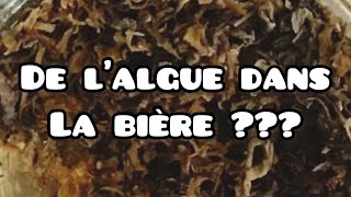 Comment clarifier sa bière (Irish moss)