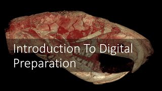 Introduction to Virtual Paleontology | Introduction to Digital Preparation Video 1