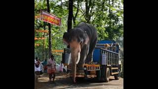 THOOFAN SREEKUTTAN MASS ENTRY