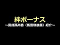 【オリアカ】隠れてチャージ＆ファイアループが雑に強すぎる！馬雲騄装備の鳳翎孫尚香紹介！【オリエント・アルカディア】