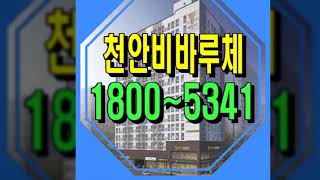 천안성정동 비바루체 1800-5341