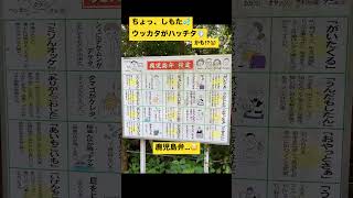 指宿市 おもしろ看板 鹿児島弁 難読 #shorts #日本語ですよ #翻訳欲しい