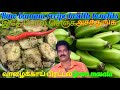 Raw banana recipe in tamil healthy benefits வாழைக்காய் இருந்தால் இப்படி வித்தியாசமா செஞ்சு அசத்துங்க