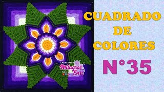 Como tejer el Cuadrado o muestra de colores N° 35 a crochet para colchas y cojines paso a paso