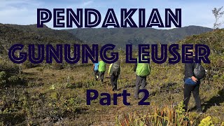 11 Hari di Pendakian Gunung Leuser 2020 Jalur Baru [part 2 of 3]