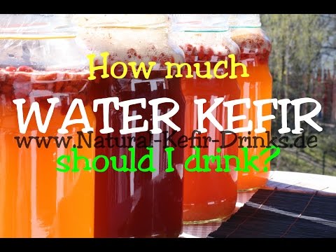 How much water kefir lemonade should I drink? (kefir grains, kefir fungus, kefir crystals) How much water kefir lemonade should I drink? (kefir grains, kefir fungus, kefir crystals)