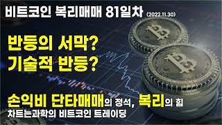 81일차 반등의 서막일까? 기술적 반등일까? | 차트는과학의 비트코인 트레이딩