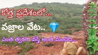 వజ్రాల వేట..💎. సత్తెనపల్లి To ఉప్పలపాడు #viral #Diamonds #hunt #video