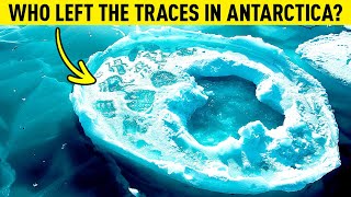 Are Those Traces of Secret Life? Scientists Spot a New Mystery in Antarctica