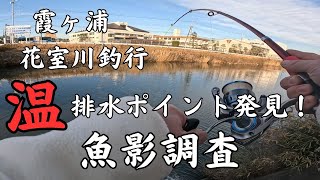 【霞ヶ浦　おかっぱり　餌釣り】【霞アングラー必見　有益情報】花室川で偶然発見した温排水ポイントでやっぱり釣れた