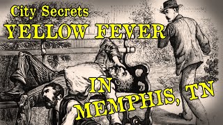 City Secrets Yellow Fever In Memphis, TN 2003