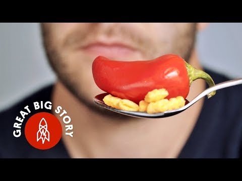 I Can't Taste Anything I Can't Taste Anything