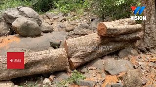 പുഴയുടെ തീരത്തെ പുറമ്പോക്കിൽ നിന്ന്,  മരങ്ങൾ മുറിച്ചു കടത്തിയതായി പരാതി