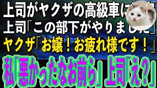 【スカッと感動】上司が運転する車がヤクザの高級車に激突。ヤクザ「おう！タダじゃ済まねーぞコラ！」→私がぶつけたと言い出したの真実を教えてやった結果w