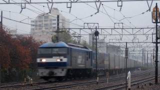 1055レ　EF210-130　　　　　　　　2011/11/19　東淀川