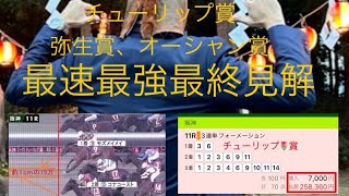 チューリップ賞＆オーシャンS\u0026弥生賞　最速最強最終見解3本❗️ピンハイの奇跡かコナコーストの悲劇か。見て損はない❗️#追い切り #穴馬予想 #桜花賞