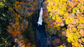 【宮城県観光映像】紅葉の秋保大滝