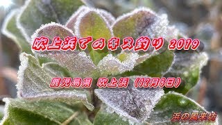 吹上浜でのキス釣り【2019年12月8日】