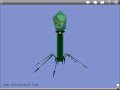 interactive 3d t4 bacteriophage