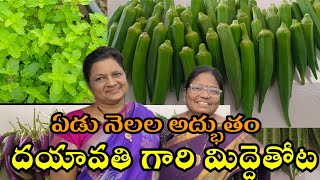 ఏడు నెలల అద్భుతం , దయావతి గారి మిద్దెతోట