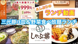 【外食】スカイラークグループ しゃぶ葉★三元豚3皿と野菜食べ放題のお得なランチセット